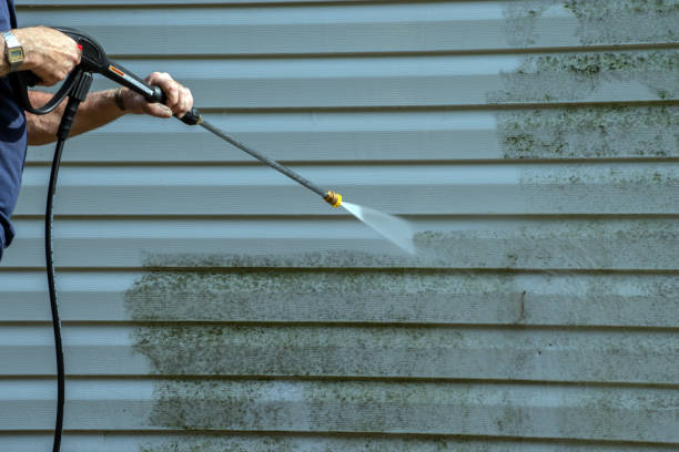 Best House Exterior Washing  in Cumberland, IN